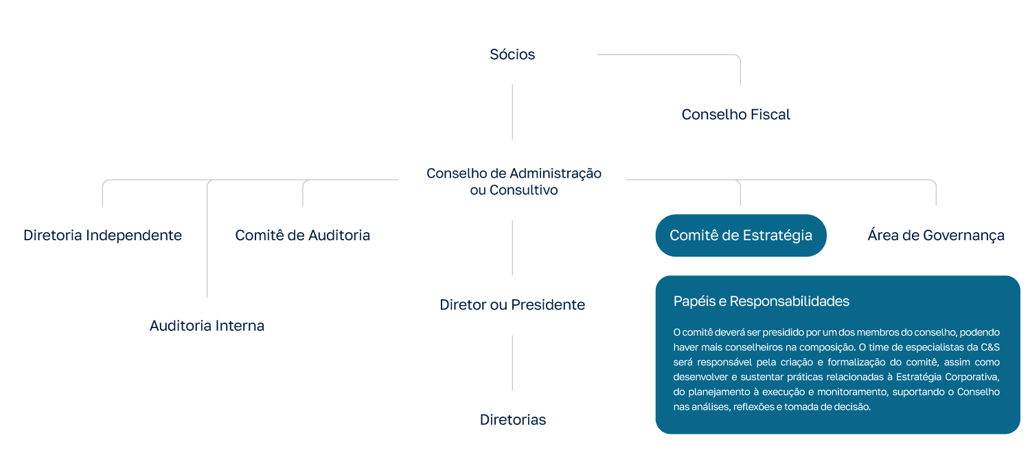 Posicionamento-do-Comitê-de-Estratégia