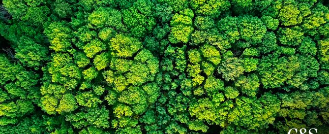 Estratégias de sustentabilidade nos conselhos corporativos