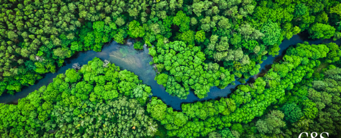 BID Invest impulsiona desenvolvimento sustentável na Amazônia