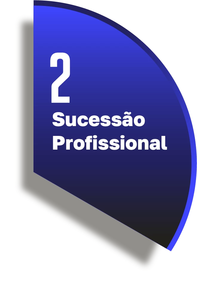 Sucessão Profissional