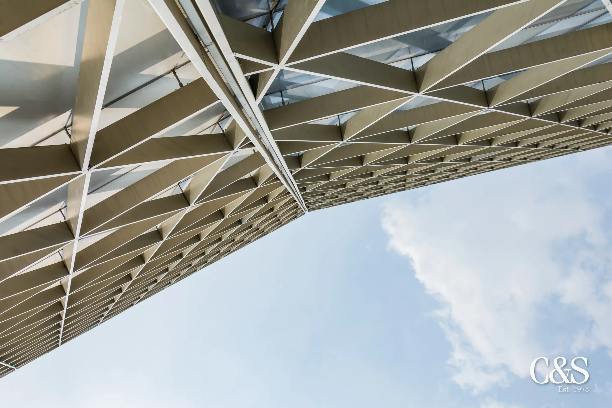 Composição do Conselho: O Papel da Diversidade na Boa Governança