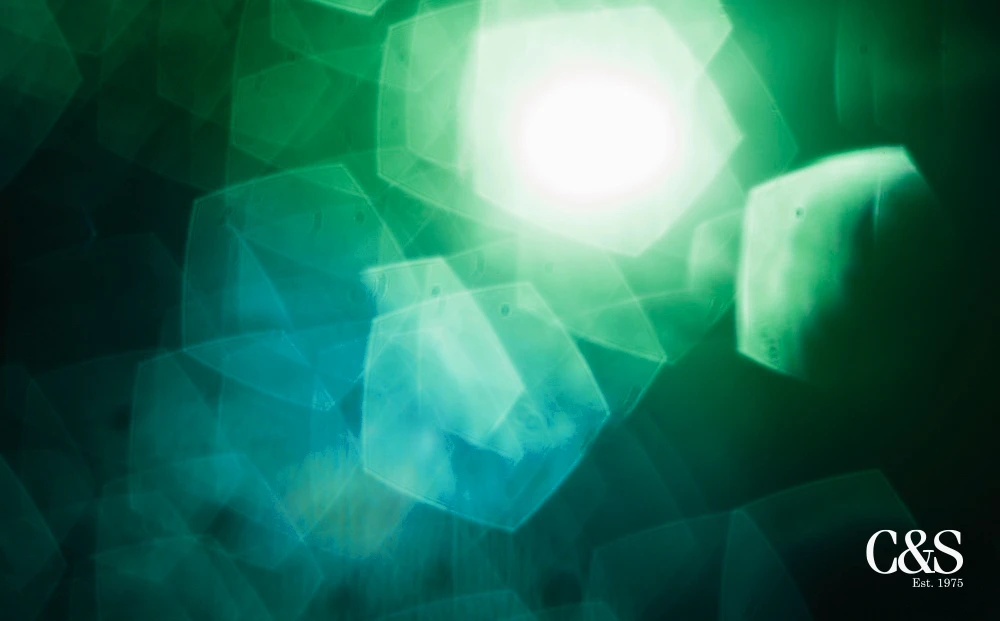 Sucessão e Choque de gerações